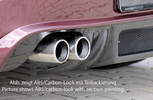 BMW Z4 06-09 Coupe/Roadster Накладка на задний бампер Carbon Look