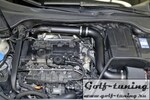Audi / Seat / Skoda / VW с 2.0L TFSI engine впуск нулевого сопротивления