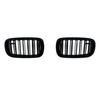 BMW X5 F15 2013- /X6 F16 2014 - Решетки радиатора (ноздри) глянцевые