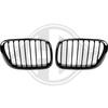 BMW X5 98-03 Решетки радиатора (ноздри) глянцевые