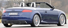Audi TT (8J-FV/8S) S-Line 14-18/18- Накладка на задний бампер/диффузор carbon look
