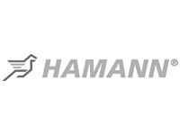 Hamann Motorsport Gmbh